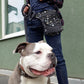Hip Bag NijensBarcelona-719 für Hundefreunde - NIJENS