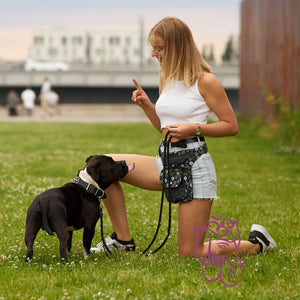 Nijens Wasserdichte Gassi-Tasche, Leckerli-Beutel für Hunde, Futtertasche mit viel Stauraum