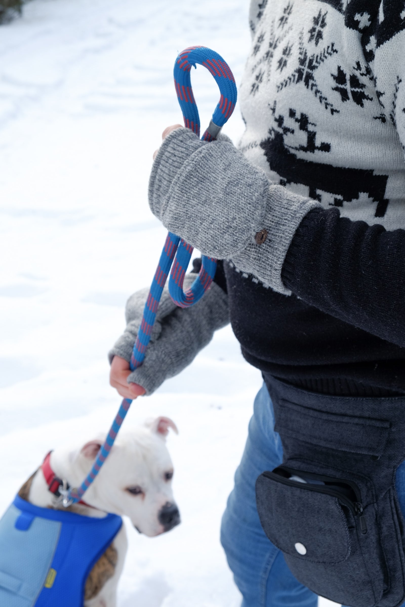 Handschuhe Nijens Fausthandschuhe aus Wolle in Grau für gassi gehen mit dem Hund