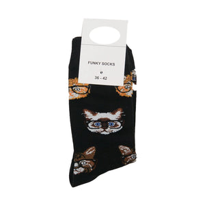 Lustigen Socken Katzenmotiv in Schwarz Nijens Shop